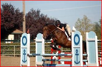 Borg, a bay gelding warmblood horse, jumping a sailor themed oxar at Rancho Murrieta Let's Show Halloween Party horse show.  Competing in the 3'0 show jumping division 
